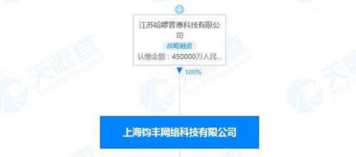 哈啰出行關(guān)聯(lián)公司注冊(cè)資本激增50%，彰顯戰(zhàn)略布局與業(yè)務(wù)擴(kuò)展雄心